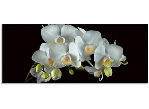 4055327193412 - Glasbild ARTLAND Weiße Orchidee auf schwarzem Hintergrund Bilder Gr B H 125 cm x 50 cm Glasbild Blumen 1 St weiß Glasbilder in verschiedenen Größen