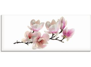 4055327195782 - Glasbild ARTLAND Magnolie Bilder Gr B H 125 cm x 50 cm Glasbild Blumen 1 St pink Glasbilder in verschiedenen Größen