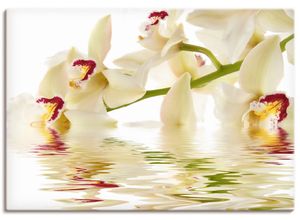 4055327237642 - Wandbild ARTLAND Weiße Orchidee mit Wasserreflektion Bilder Gr B H 100 cm x 70 cm Leinwandbild Blumen Querformat 1 St weiß Bild Poster Bilder als Leinwandbild Wandaufkleber oder in versch Größen