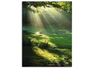 4055327242226 - Wandbild ARTLAND Lichtkegel Bilder Gr B H 90 cm x 120 cm Leinwandbild Wald Hochformat 1 St grün Bild Metallbild Metallbilder Bilder als Alubild Leinwandbild Wandaufkleber oder Poster in versch Größen