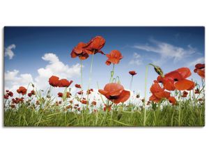 4055327243537 - Wandbild ARTLAND Feld mit Mohnblumen unter Himmel Bilder Gr B H 100 cm x 50 cm Leinwandbild Blumenwiese Querformat 1 St bunt Bild Metallbild Metallbilder Bilder als Alubild Leinwandbild Wandaufkleber oder Poster in versch Größen
