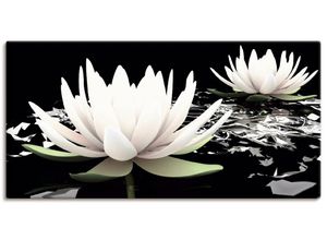 4055327243872 - Wandbild ARTLAND Zwei Lotusblumen auf dem Wasser Bilder Gr B H 60 cm x 30 cm Leinwandbild Blumen Querformat 1 St schwarz Bild Metallbild Metallbilder Bilder als Alubild Leinwandbild Wandaufkleber oder Poster in versch Größen