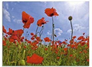 4055327260152 - Glasbild ARTLAND Mohnblumenfeld Bilder Gr B H 80 cm x 60 cm Glasbild Blumen Querformat 1 St rot Bild Glasbild Glasbilder Bilder in verschiedenen Größen