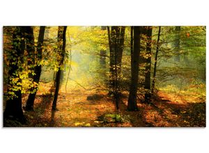4055327304450 - Glasbild ARTLAND Herbstlicht im Wald Bilder Gr B H 60 cm x 30 cm Glasbild Wald Querformat 1 St grün Bild Glasbild Glasbilder Bilder in verschiedenen Größen