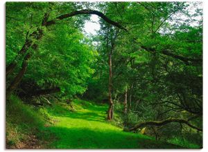 4055327306553 - Wandbild ARTLAND Grüner Weg durch den Wald Bilder Gr B H 80 cm x 60 cm Leinwandbild Wald 1 St grün Bild Kunstdruck Leinwandbild Kunstdrucke Bilder als Leinwandbild Wandaufkleber oder Poster in versch Größen