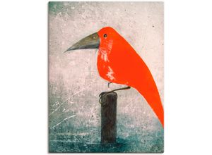 4055327322614 - Wandbild ARTLAND Der Rote Vogel Bilder Gr B H 60 cm x 80 cm Leinwandbild Vögel 1 St rot Bild Kunstdruck Kunstdrucke Bilder als Leinwandbild Wandaufkleber oder Poster in versch Größen