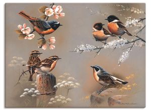 4055327462402 - Wandbild ARTLAND Vogel Komposition Bilder Gr B H 80 cm x 60 cm Leinwandbild Vögel Querformat 1 St braun Bild Poster Bilder als Leinwandbild Wandaufkleber oder in versch Größen