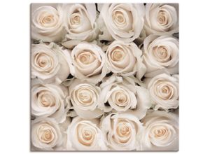 4055327464284 - Wandbild ARTLAND Weiße Rosenkreation Bilder Gr B H 40 cm x 40 cm Leinwandbild Blumen quadratisch 1 St weiß Bild Poster Bilder als Leinwandbild Wandaufkleber oder in versch Größen