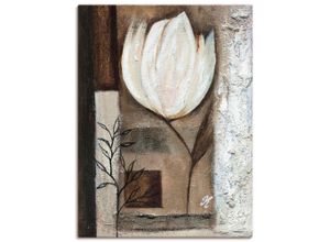 4055327477420 - Wandbild ARTLAND Braune Tulpen I Bilder Gr B H 60 cm x 80 cm Leinwandbild Blumen Hochformat 1 St beige (naturfarben) Bild Poster Bilder als Leinwandbild Wandaufkleber oder in versch Größen