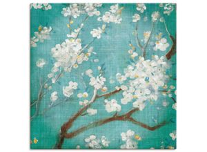 4055327715072 - Wandbild ARTLAND Weiße Kirschblüten I Bilder Gr B H 100 cm x 100 cm Leinwandbild Blumen quadratisch 1 St grün Bild Poster Bilder als Leinwandbild Wandaufkleber oder in versch Größen