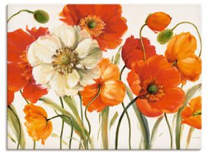 4055327745901 - Wandbild ARTLAND Mohnblumen I Bilder Gr B H 120 cm x 90 cm Leinwandbild Blumen Querformat 1 St orange Bild Poster Bilder als Leinwandbild Wandaufkleber oder in versch Größen