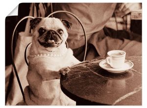 4055327749350 - Wandbild ARTLAND Kaffee Mops Bilder Gr B H 40 cm x 30 cm Poster Haustiere Querformat 1 St beige (natur) Bild Poster Bilder als Leinwandbild Wandaufkleber oder in versch Größen