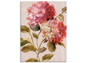 4055327751032 - Wandbild ARTLAND Harmonische Hortensien Bilder Gr B H 60 cm x 80 cm Leinwandbild Blumen Hochformat 1 St pink Bild Poster Bilder als Leinwandbild Wandaufkleber oder in versch Größen