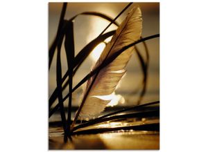 4055327772136 - Glasbild ARTLAND Feder im Abendlicht Bilder Gr B H 60 cm x 80 cm Glasbild Gräser Hochformat 1 St goldfarben Bild Glasbild Glasbilder Bilder in verschiedenen Größen