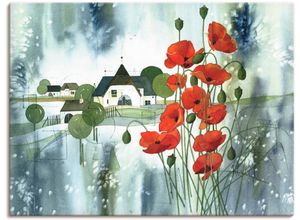 4055327816267 - Wandbild ARTLAND Blühender Mohn Bilder Gr B H 80 cm x 60 cm Leinwandbild Blumen 1 St rot Bild Kunstdruck Kunstdrucke Bilder als Leinwandbild Wandaufkleber oder Poster in versch Größen