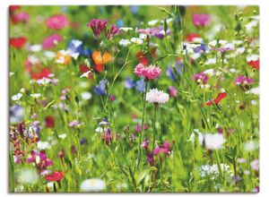 4055327881401 - Wandbild ARTLAND Blumenwiese I Bilder Gr B H 80 cm x 60 cm Leinwandbild Blumenwiese Querformat 1 St grün Bild Poster Bilder als Leinwandbild Wandaufkleber oder in versch Größen