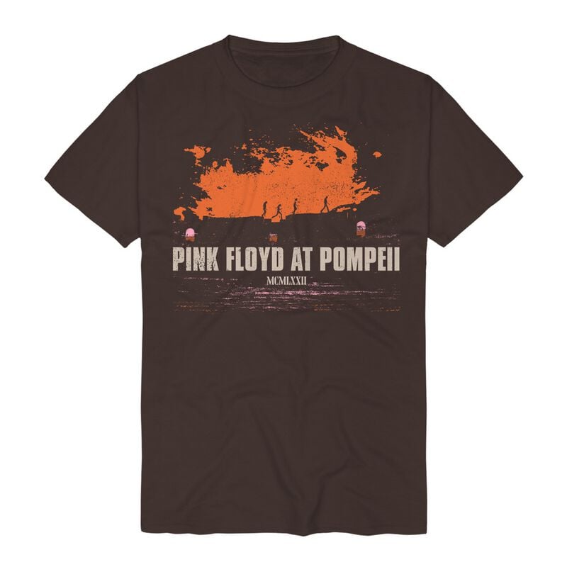 4055585594341 - Pompeii Album Cover Widescreen T-Shirt braun in M