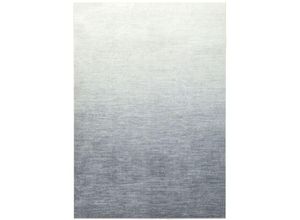 4055641957158 - - Waschbarer Teppich ombre 200 x 300 cm – Grau - grau