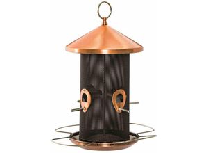 4055938017879 - Siena Garden - Vogelfuttersäule Copper Line für Mischfutter 31cm