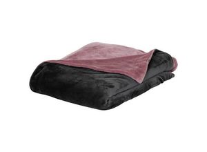 4055938486385 - - priamo Plaid Kuscheldecke anthrazit rosa ca 140 x 200 cm