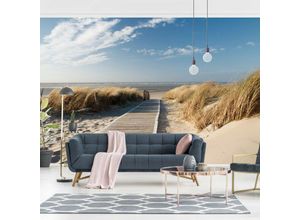 4055957109654 - Fototapete Strand - Ostsee Strand - Vliestapete Premium Breit Größe HxB 255cm x 384cm