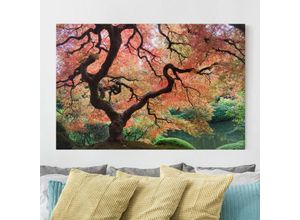 4055957227013 - Micasia - Leinwandbild - Japanischer Garten - Quer 23 Größe HxB 40cm x 60cm