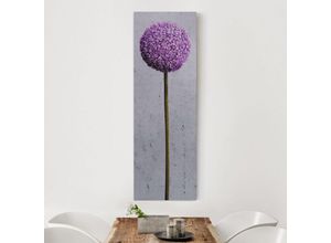 4055957412037 - Micasia - Leinwandbild - Allium Kugel-Blüten - Panorama Hoch Größe HxB 90cm x 30cm