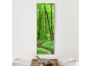 4055957418237 - Micasia - Leinwandbild - Romantischer Waldweg - Panorama Hoch Größe HxB 90cm x 30cm