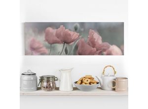 4055957624942 - Micasia - Leinwandbild - Malerische Mohnblumen - Panorama Quer Größe HxB 40cm x 120cm