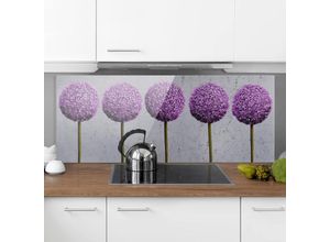 4055957666362 - Micasia - Spritzschutz Glas - Allium Kugel-Blüten - Panorama Quer Größe HxB 50cm x 125cm