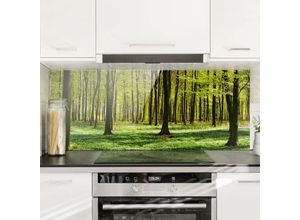 4055957669653 - Micasia - Spritzschutz Glas - Waldwiese - Panorama Quer Größe HxB 40cm x 100cm