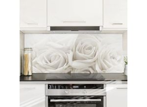 4055957669721 - Spritzschutz Glas - Weiße Rosen - Panorama Quer Größe HxB 50cm x 125cm