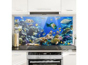 4055957673629 - Micasia - Spritzschutz Glas - Underwater Reef - Quer 12 Größe HxB 59cm x 120cm