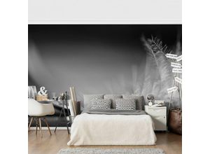 4055957692224 - Micasia - Design Fototapete - Story of a Waterdrop Black White - Vlies Breit Größe HxB 320cm x 480cm