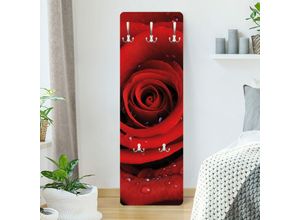 4055958173715 - Micasia - Rosen Garderobe - Rote Rose mit Wassertropfen - Blumenbild Rot Größe HxB 119cm x 39cm