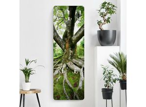 4055958182854 - Micasia - Garderobe - Alter Baum - Grün Größe HxB 119cm x 39cm