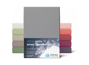 4055971019625 - Extra Jersey Spannbettlaken Frost Grau 90x200 - 100x220 cm - Frost Grau - Etérea