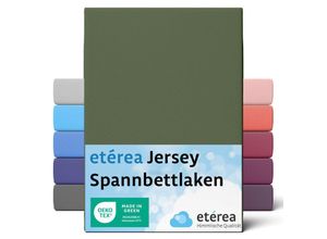 4055971100941 - Etérea - Comfort Jersey Spannbettlaken Kaktus 90x200 cm - 100x200 cm - Kaktus