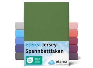 4055971101276 - Comfort Jersey Spannbettlaken Kaktus 100x200 cm - 120x200 cm - Kaktus - Etérea