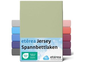 4055971101948 - etérea Comfort Jersey Spannbettlaken Lind 180x200 cm - 200x200 cm - Lind