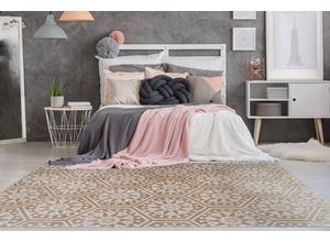 4056216984951 - Hochflorteppich Monroe 200 Taupe