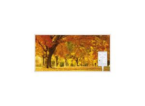 4056551126504 - Heidenfeld Infrarotheizung HF-HP105 mit Bild 16 Motive 10 J Garantie Thermostat Wandmontage (1000 Watt Herbst)