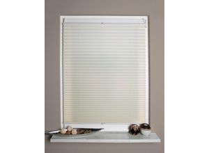 4056751124607 - HOME WOHNIDEEN Plissee »NOLAN« blickdicht ohne Bohren verspannt