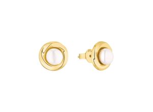 4056866003217 - Paar Ohrstecker AMOR 2013569 Ohrringe Gr Gelbgold 375-Perlen weiß (goldfarbenweiß) Damen Ohrstecker mit Süßwasserzuchtperle