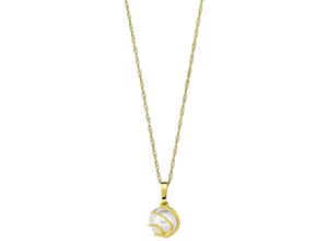 4056866009509 - Kette mit Anhänger AMOR Sparkle 2014206 Halsketten Gr Gelbgold 375 Länge 45 cm goldfarben (goldfarben) Damen Ketten mit Anhänger Made in Germany - Wachsperle