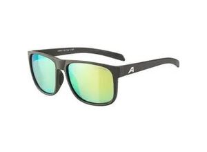 4057651028194 - ALPINA Herren Brille NACAN III coffee-grey matt -