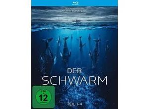 4057651238494 - Der Schwarm - Teil 1-4 (Fernsehjuwelen)