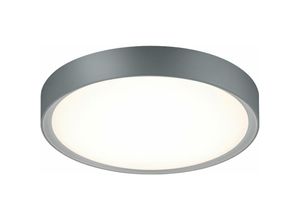 4057651242699 - Trio LED Deckenleuchte RL176 Deckenlampe inkl Leuchtmittel - gray