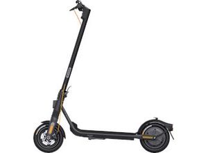 4057651616940 - NINEBOT F2 PRO D E-Scooter (10 Zoll Black)