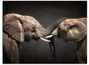4057738051640 - Wandbild ARTLAND Zwei Elefanten Bilder Gr B H 80 cm x 60 cm Leinwandbild Wildtiere 1 St schwarz Kunstdrucke Bilder als Leinwandbild Wandaufkleber oder Poster in versch Größen